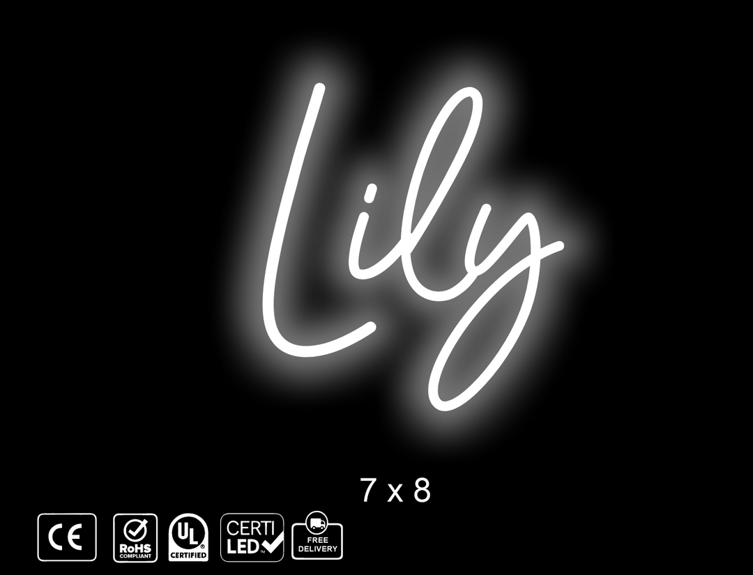 Custom Neon sign for Lisa
