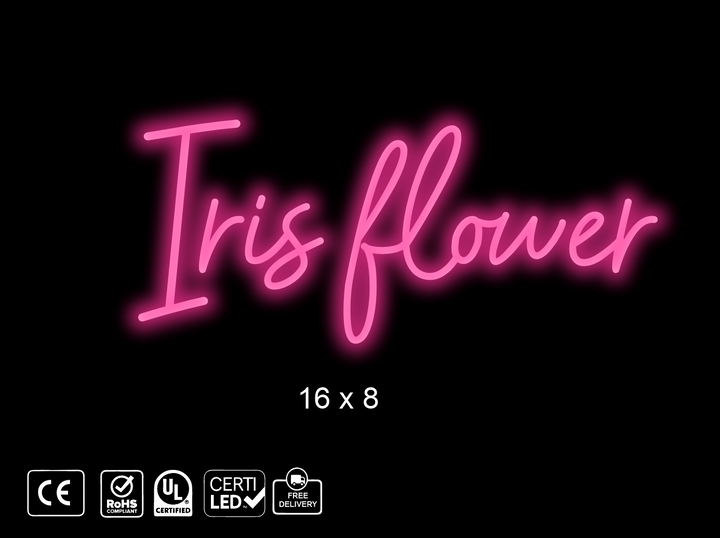 Custom Neon sign for Mary