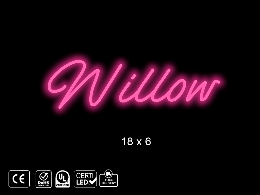 Custom Neon sign for Quinn