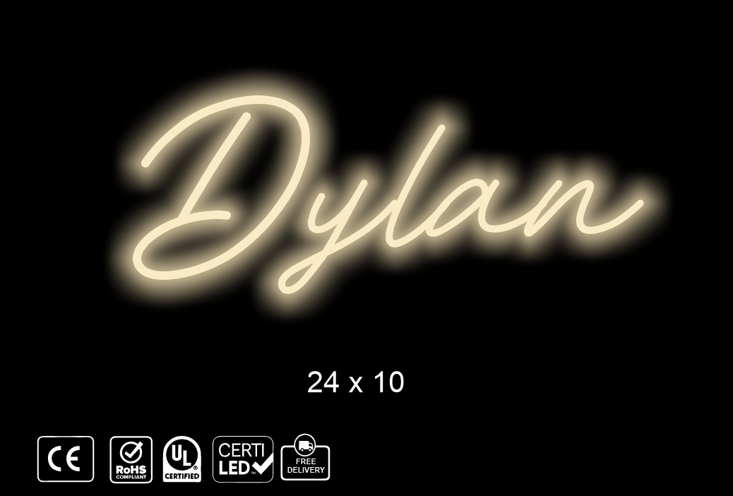 Custom neon sign,  Dylan