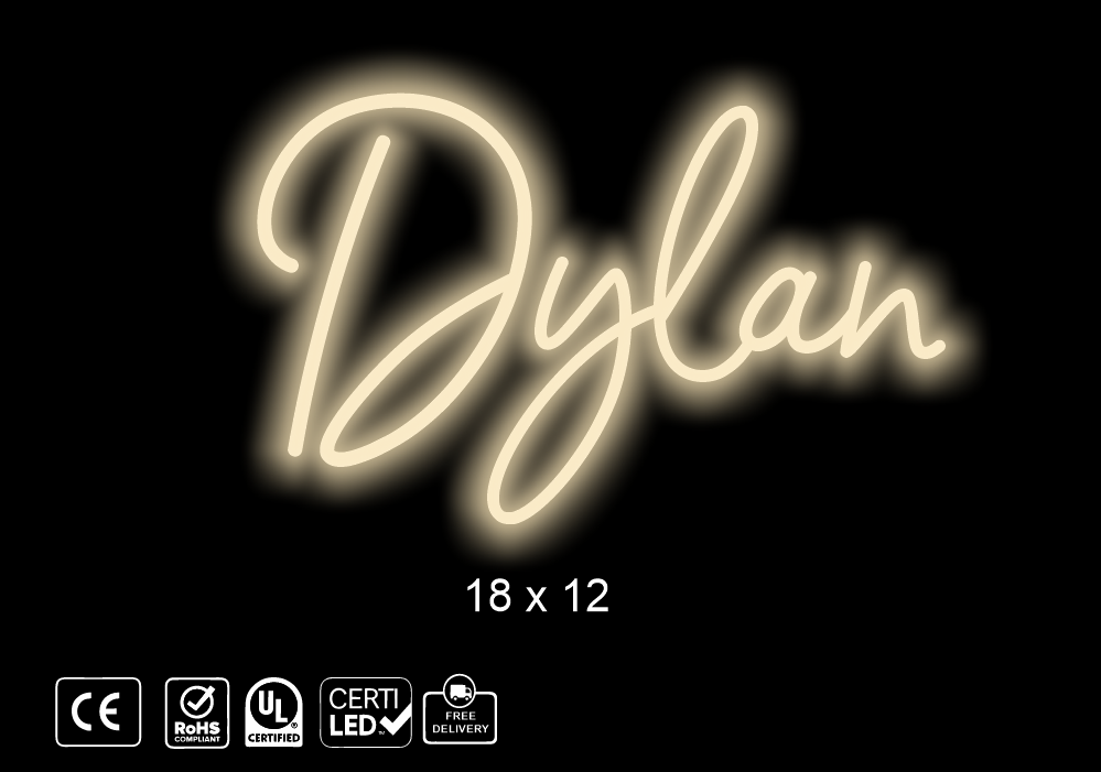 Custom neon sign,  Dylan