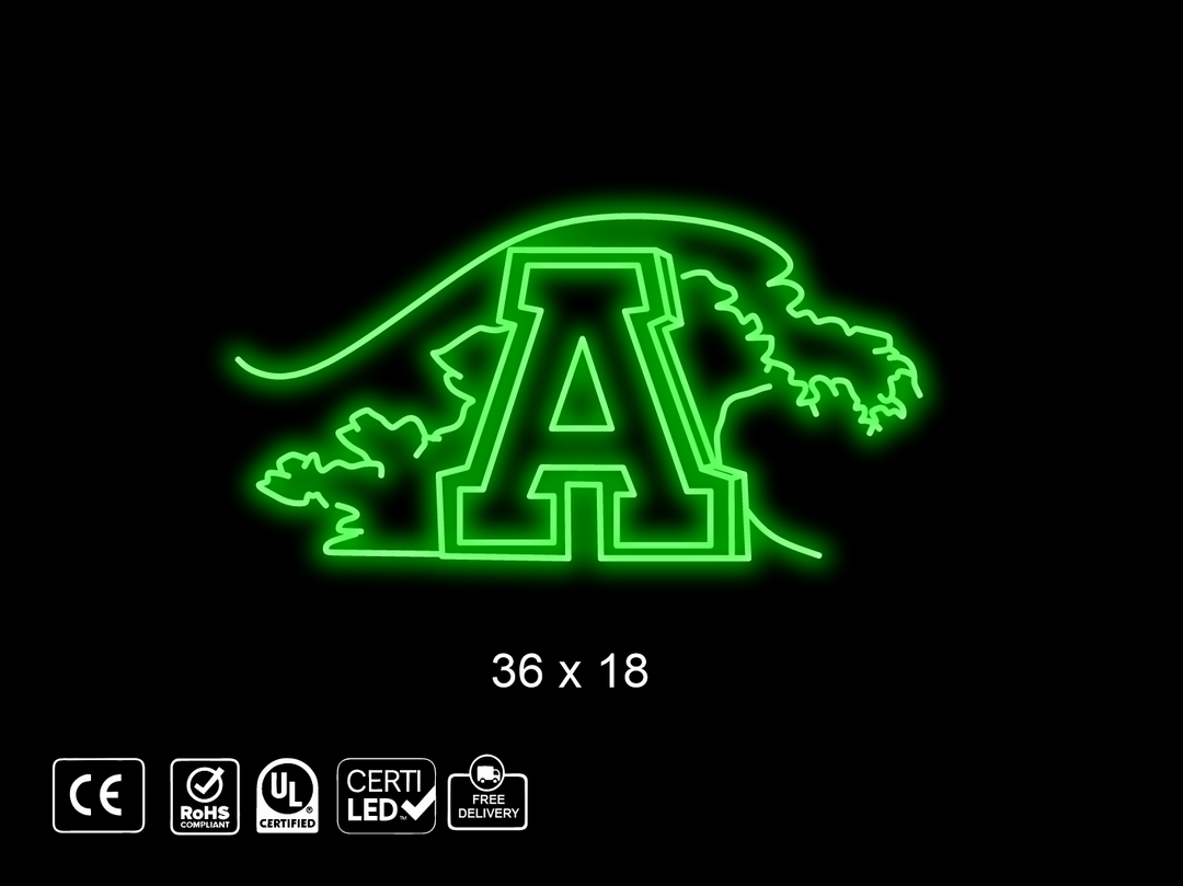 Custom Neon sign for Matt