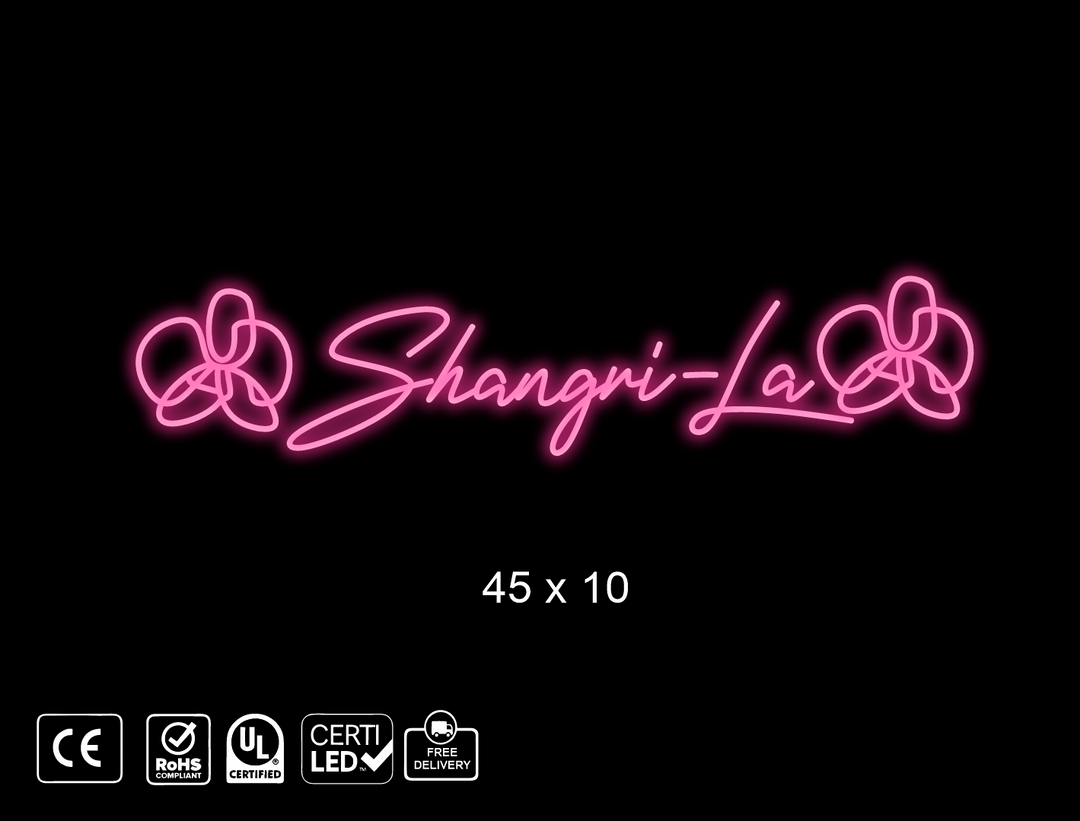 Updated Custom Neon sign for Carolyn Sunseri