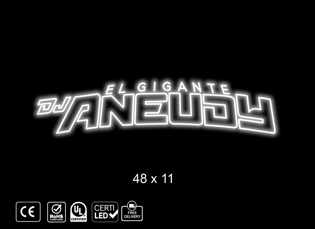 Custom Neon sign for Braulio Rodriguez