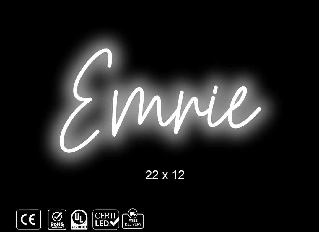 Custom Neon sign for Michael Zaleuke
