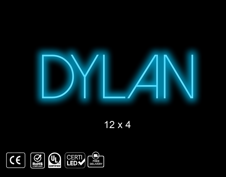 Custom Neon sign Dylan