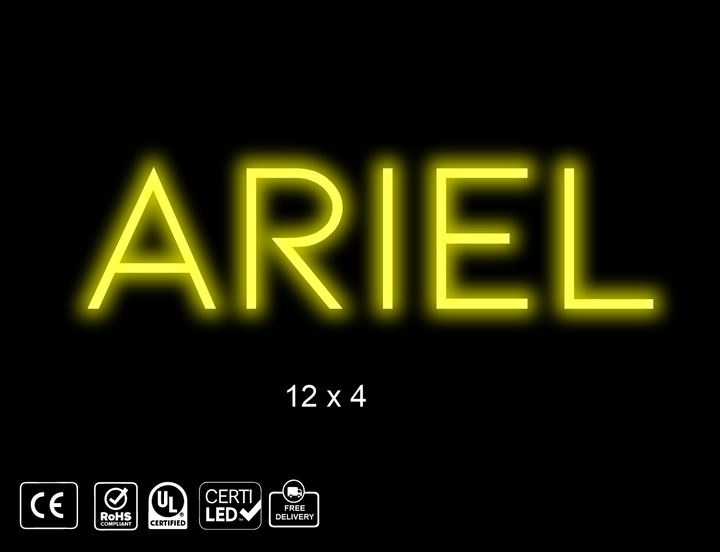 Custom Neon sign for Ariel