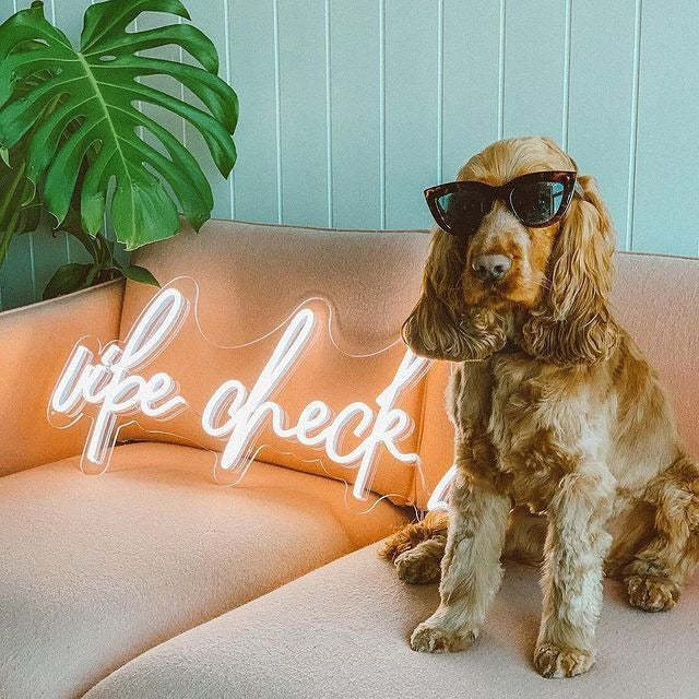 Vibe Check Trendy LED Neon Sign by LEDNeons - with dog