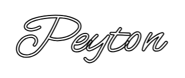 Outline Image