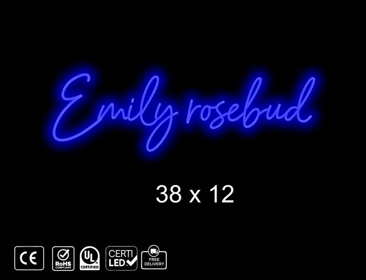 Custom neon sign for Ben LeFave