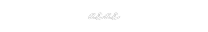 Customized Neon Sign: asas