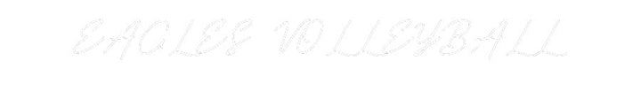 Customized Neon Sign: EAGLES VOLLEY...