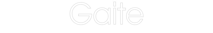 Customized Neon Sign: Gaite
