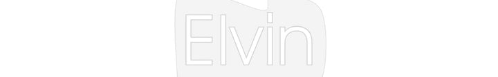 Customized Neon Sign: Elvin