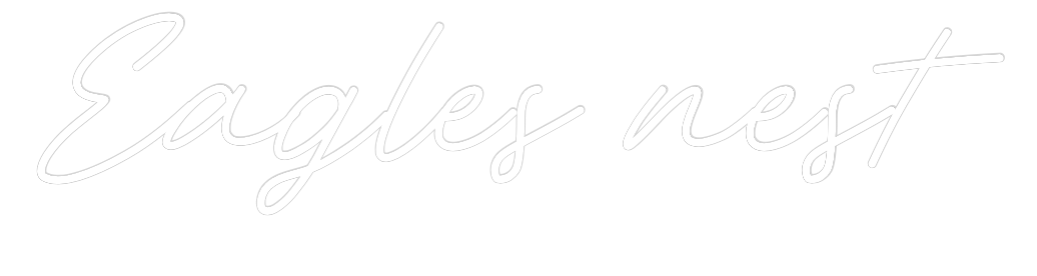 Custom Neon: Eagles nest