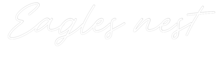 Custom Neon: Eagles nest