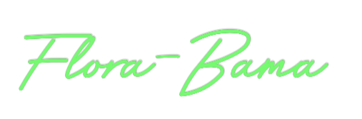 Custom Neon: Flora-Bama
