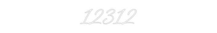 Custom Neon: 12312