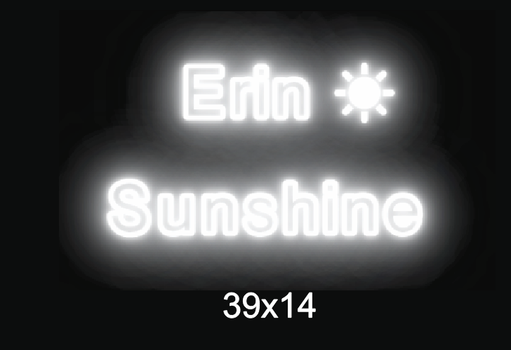 Custom neon sign for Erin Elise