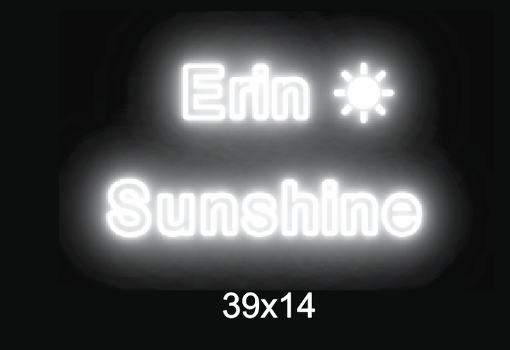 Custom neon sign for Erin Elise