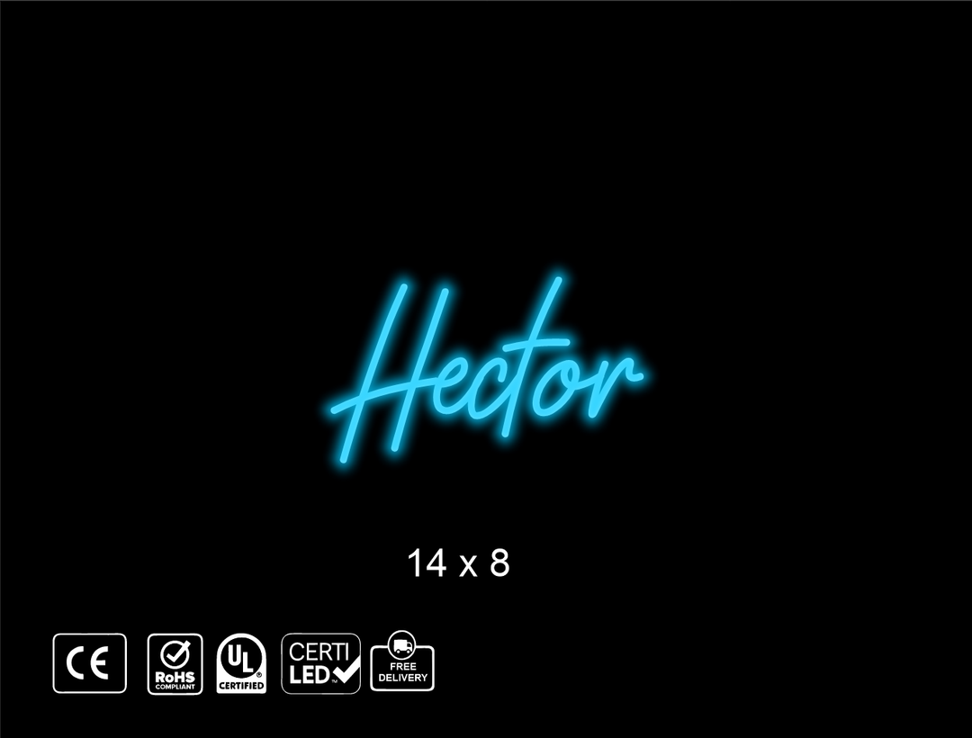 Custom Neon sign for Hector