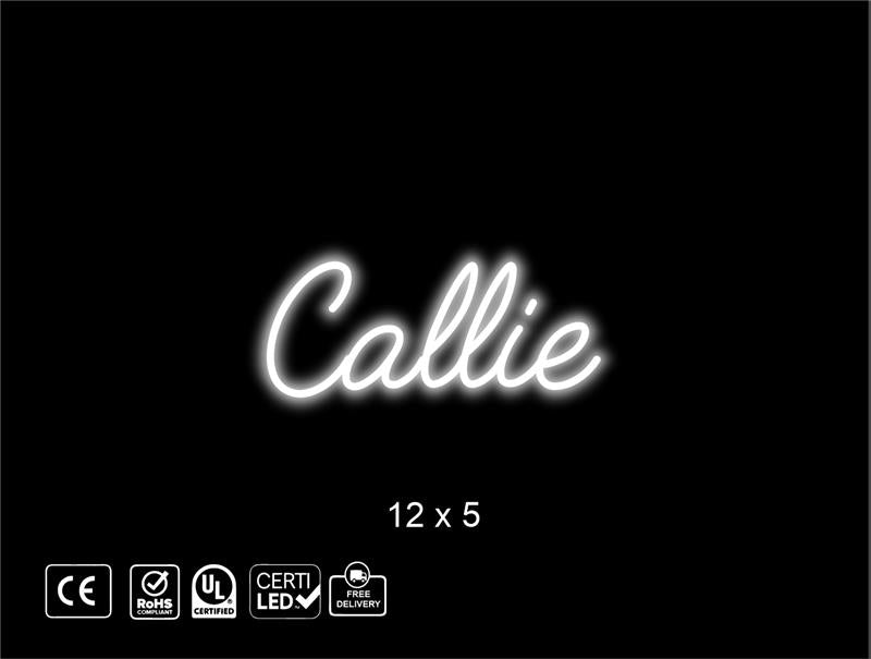 Custom Neon sign for Rachele Long