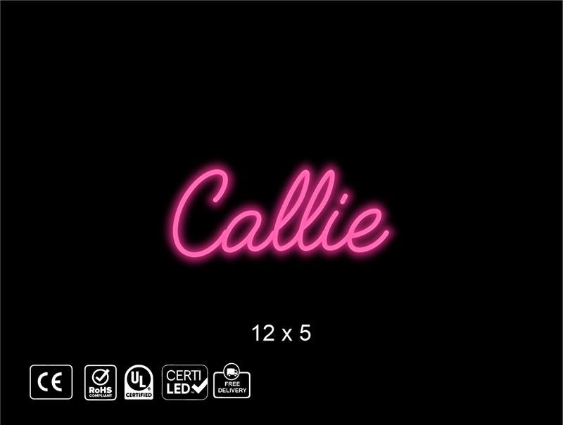 Custom Neon sign for Rachele Long
