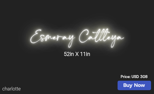 CUSTOM NEON SIGN FOR Jesusgonzalez 16