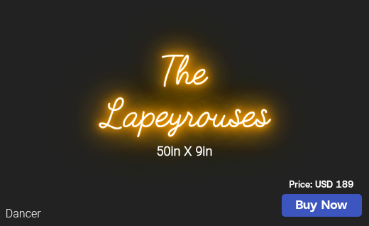 CUSTOM NEON SIGN FOR Taylerlapeyrouse1169
