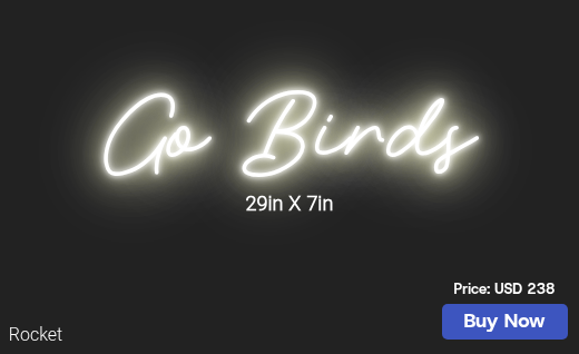 CUSTOM NEON SIGN FOR Ecw2461