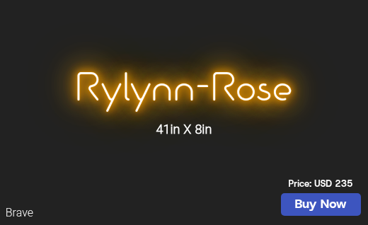 CUSTOM NEON SIGN FOR Paigedufault1498