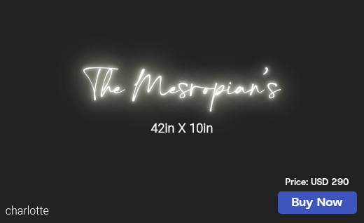 CUSTOM NEON SIGN FOR Ir Karakhanyan