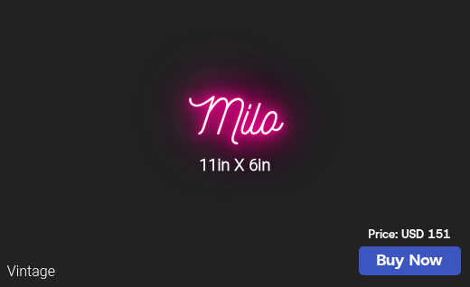 CUSTOM NEON SIGN FOR Evm1013