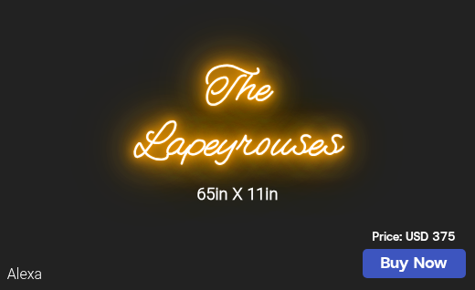 CUSTOM NEON SIGN FOR Taylerlapeyrouse1169