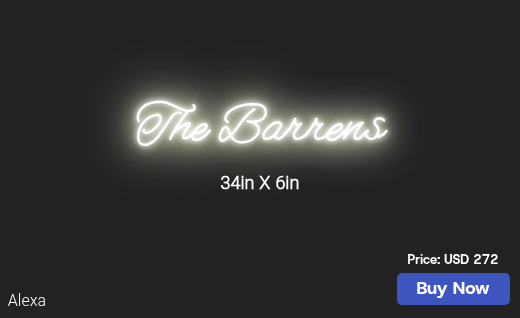 CUSTOM NEON SIGN FOR Bbarren06