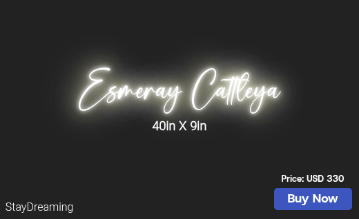 CUSTOM NEON SIGN FOR Jesusgonzalez 16